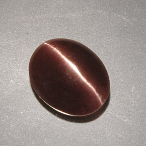 2.32克拉天然棕色Cat's Eye Scapolite，椭圆形切割，9.7×7.9毫米，不透明