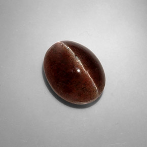 8.31克拉天然棕色Cat's Eye Scapolite，椭圆形切割，13.4×10.3毫米，半透明