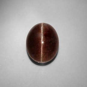 8.31克拉天然棕色Cat's Eye Scapolite，椭圆形切割，13.4×10.3毫米，半透明