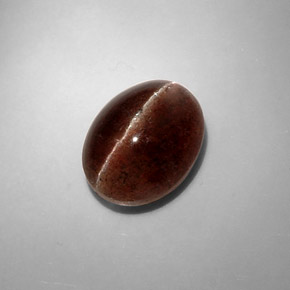 8.31克拉天然棕色Cat's Eye Scapolite，椭圆形切割，13.4×10.3毫米，半透明