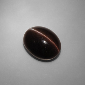 6.90克拉天然棕色Cat's Eye Scapolite，椭圆形切割，13.2×10.3毫米，半透明