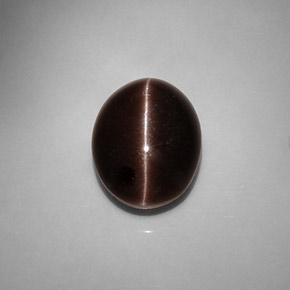 6.90克拉天然棕色Cat's Eye Scapolite，椭圆形切割，13.2×10.3毫米，半透明