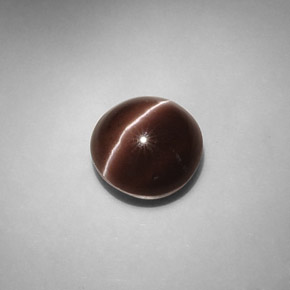 5.82克拉天然棕色Cat's Eye Scapolite，圆形切割，10.58毫米，半透明