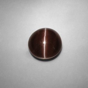 5.82克拉天然棕色Cat's Eye Scapolite，圆形切割，10.58毫米，半透明