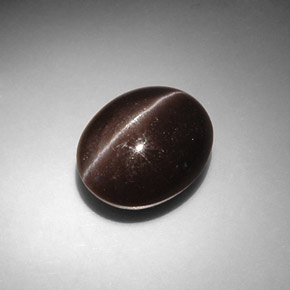8.66克拉天然棕色Cat's Eye Scapolite，椭圆形切割，13.6×11.1毫米，半透明