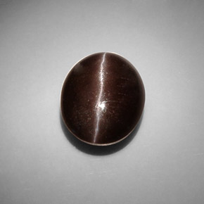 8.66克拉天然棕色Cat's Eye Scapolite，椭圆形切割，13.6×11.1毫米，半透明