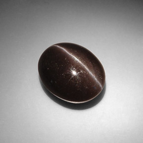 8.66克拉天然棕色Cat's Eye Scapolite，椭圆形切割，13.6×11.1毫米，半透明