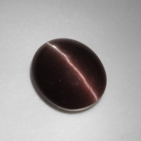 5.88克拉天然棕色Cat's Eye Scapolite，椭圆形切割，12.9×10.7毫米，半透明
