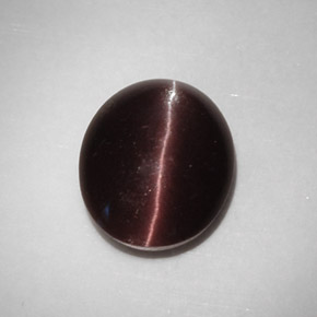 5.88克拉天然棕色Cat's Eye Scapolite，椭圆形切割，12.9×10.7毫米，半透明