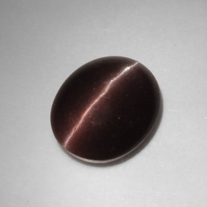 5.88克拉天然棕色Cat's Eye Scapolite，椭圆形切割，12.9×10.7毫米，半透明