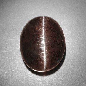 9.31克拉天然棕色Cat's Eye Scapolite，椭圆形切割，13.4×10.7毫米，半透明