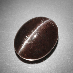 9.31克拉天然棕色Cat's Eye Scapolite，椭圆形切割，13.4×10.7毫米，半透明
