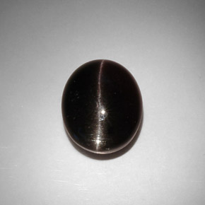 11.50克拉天然棕色Cat's Eye Scapolite，椭圆形切割，15×12.1毫米，半透明