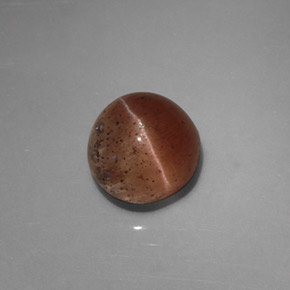 2.31克拉天然棕色Cat's Eye Scapolite，透明，7.5×7.3毫米，透明/半透明