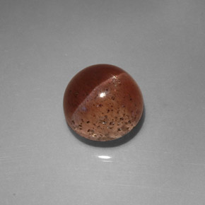 2.31克拉天然棕色Cat's Eye Scapolite，透明，7.5×7.3毫米，透明/半透明