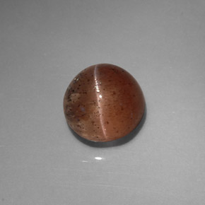 2.31克拉天然棕色Cat's Eye Scapolite，透明，7.5×7.3毫米，透明/半透明