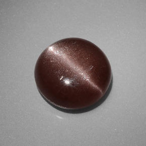 2.40克拉天然棕色Cat's Eye Scapolite，圆形切割，8.56毫米，不透明