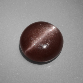 2.40克拉天然棕色Cat's Eye Scapolite，圆形切割，8.56毫米，不透明