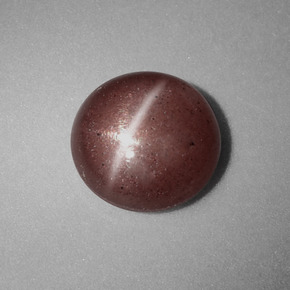 1.54克拉天然棕色Cat's Eye Scapolite，圆形切割，7.62毫米，不透明