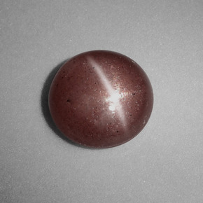 1.54克拉天然棕色Cat's Eye Scapolite，圆形切割，7.62毫米，不透明