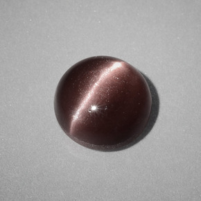 1.58克拉天然棕色Cat's Eye Scapolite，圆形切割，7.05毫米，不透明