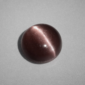 1.58克拉天然棕色Cat's Eye Scapolite，圆形切割，7.05毫米，不透明