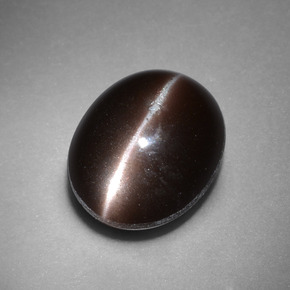 4.41克拉天然棕色Cat's Eye Scapolite，椭圆形切割，11.3×9.3毫米，不透明