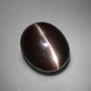 4.41克拉天然棕色Cat's Eye Scapolite，椭圆形切割，11.3×9.3毫米，不透明