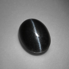 3.37克拉天然黑色Cat's Eye Scapolite，椭圆形切割，10.7×7.9毫米，不透明
