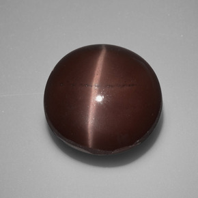 10.97克拉天然棕色Cat's Eye Scapolite，圆形切割，13.19毫米，不透明