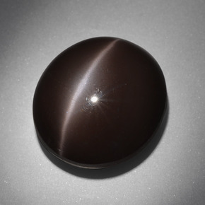 24.01克拉天然棕色Cat's Eye Scapolite，椭圆形切割，18×16.2毫米，不透明