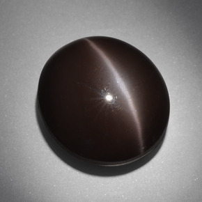 24.01克拉天然棕色Cat's Eye Scapolite，椭圆形切割，18×16.2毫米，不透明