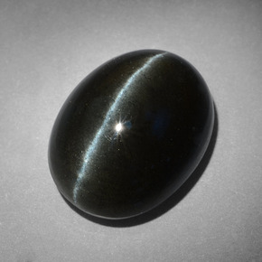 18.17克拉天然黑色Cat's Eye Scapolite，椭圆形切割，18.3×14毫米，不透明