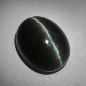 18.17克拉天然黑色Cat's Eye Scapolite，椭圆形切割，18.3×14毫米，不透明