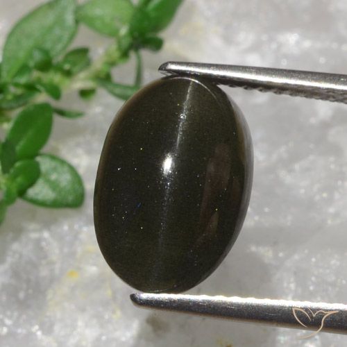 6.38克拉天然猫眼方柱石，椭圆形切割，半透明