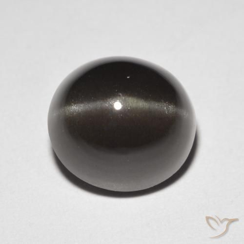 3.32克拉天然棕色Cat's Eye Scapolite，椭圆形切割，8.9×8.3毫米，半透明