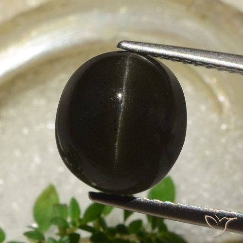 5.83ct 天然 黑色 猫眼方柱石, 椭圆形, 半透明