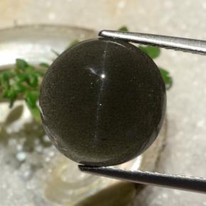 6.50克拉天然棕色Cat's Eye Scapolite，圆形切割，12.25毫米，半透明