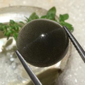 6.50克拉天然棕色Cat's Eye Scapolite，圆形切割，12.25毫米，半透明