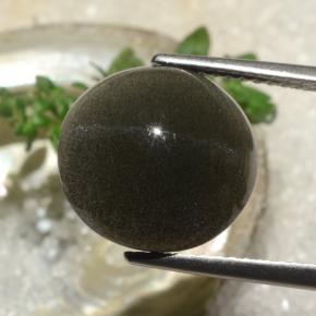 6.50克拉天然棕色Cat's Eye Scapolite，圆形切割，12.25毫米，半透明