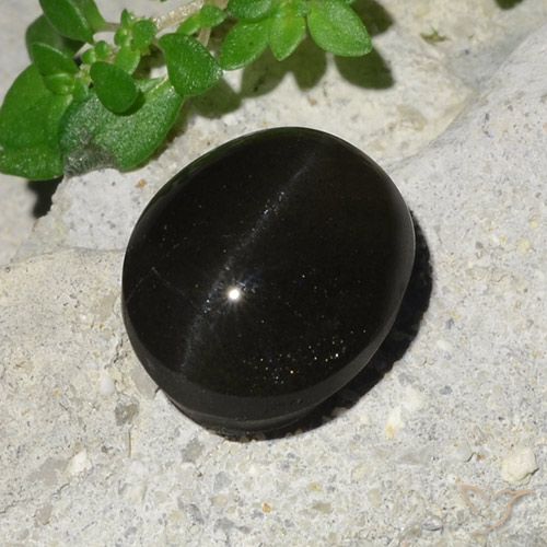 7.45ct 天然 黑色 猫眼方柱石, 椭圆形, 半透明
