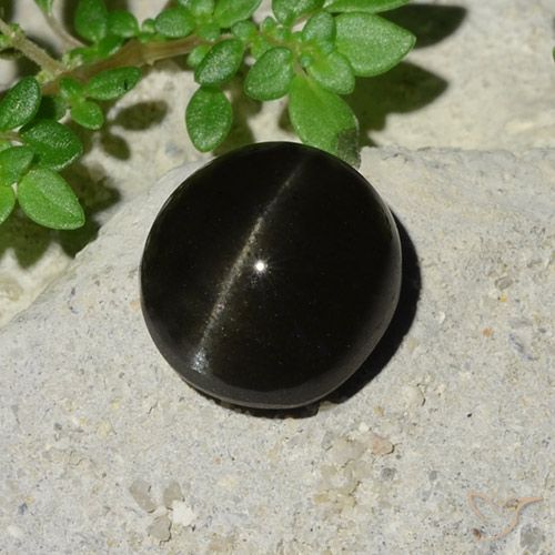5.12ct 天然 黑色 猫眼方柱石, 椭圆形, 半透明