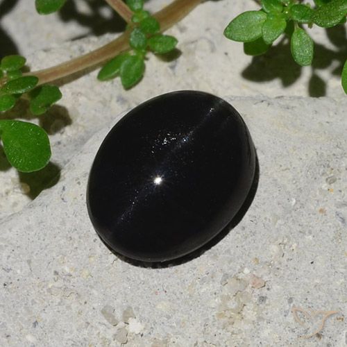 4.10ct 天然 黑色 猫眼方柱石, 椭圆形, 不透明