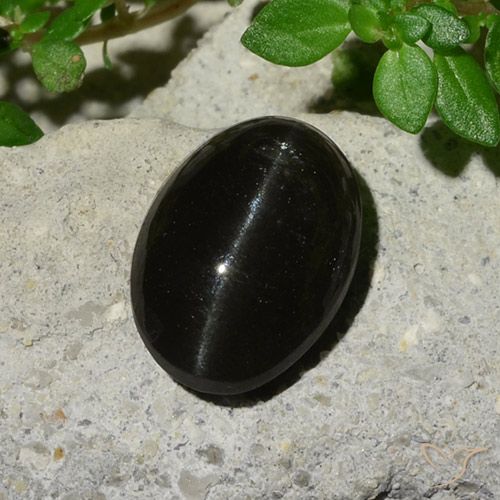 5.12ct 天然 黑色 猫眼方柱石, 椭圆形, 半透明