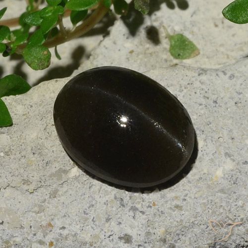 5.10克拉天然黑色Cat's Eye Scapolite，椭圆形切割，11.9×9.1毫米，半透明