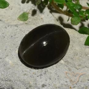 5.10克拉天然黑色Cat's Eye Scapolite，椭圆形切割，11.9×9.1毫米，半透明