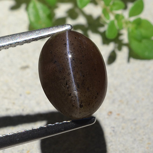 4.04克拉天然猫眼方柱石，椭圆形切割，半透明