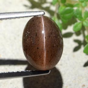 4.55克拉天然棕色Cat's Eye Scapolite，椭圆形切割，10.7×7.9毫米，半透明