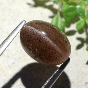 4.55克拉天然棕色Cat's Eye Scapolite，椭圆形切割，10.7×7.9毫米，半透明