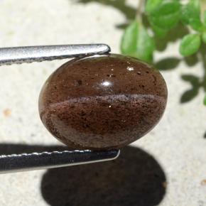 4.55克拉天然棕色Cat's Eye Scapolite，椭圆形切割，10.7×7.9毫米，半透明